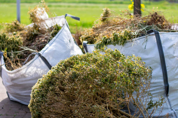 Best Local Junk Hauling  in Homestead, PA